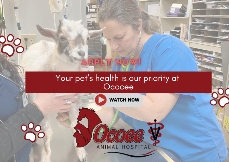 Carousel Slide 1: Check out our newest Highlight Video!